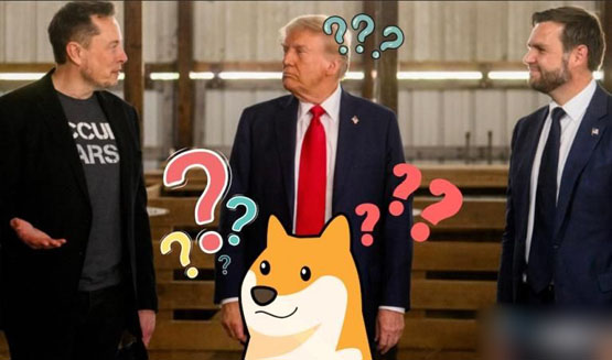 摩根大通：川普和马斯克的效率部门DOGE恐沦空谈