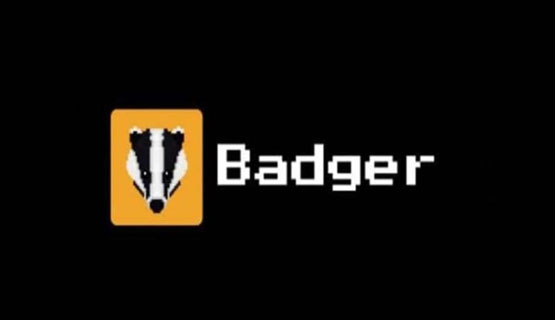 一文了解BADGER币还能涨回来吗？