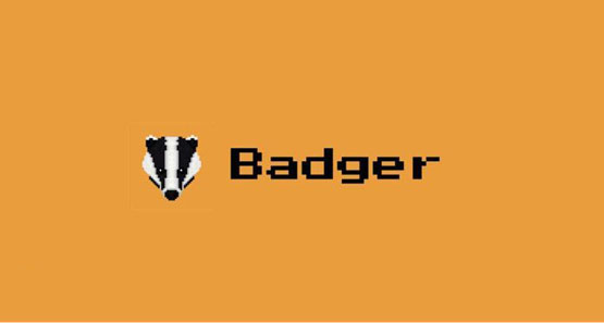 BADGER币发行价多少？BADGER币发行价格和发行时间介绍