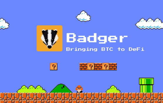 BADGER币有潜力吗？BADGER币未来能涨到多少钱？