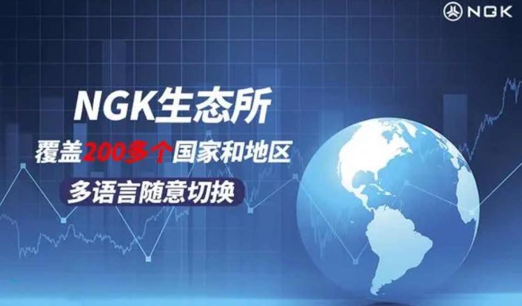 NGK是什么币种？NGK币前景怎么样？