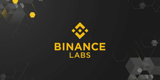 Binance Labs将改名进行品牌重塑！回顾2024：共投了46个项目