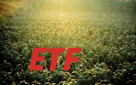 ETF Store总裁Nate Geraci：2024比特币ETF亮眼！2025将有更多加密货币ETF