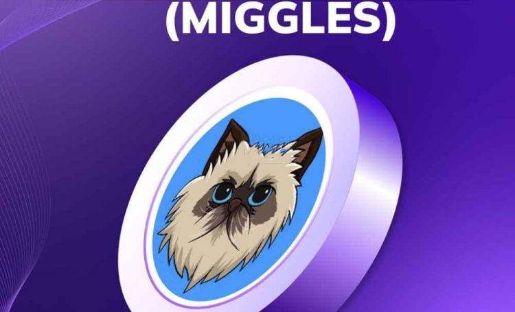 MIGGLES是什么币种？MIGGLES币值得投资吗？