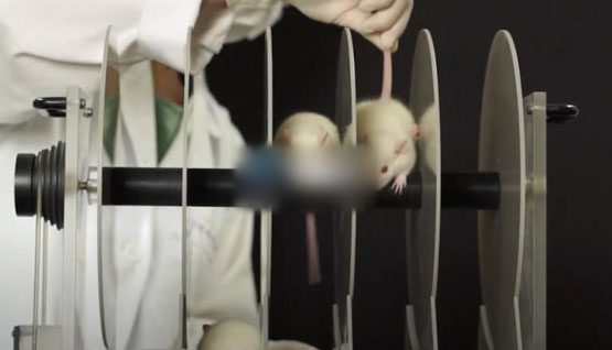 开创DeSci预测！Pump Science与Solana链Hedgehog Markets合推计划RODeo