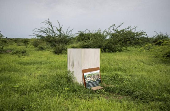 区块链城市：迪拜拟建17层加密塔 日本东京将迎比特币豪华饭店