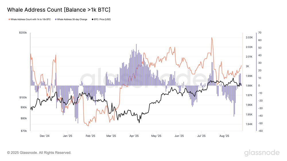 比特币（BTC）牛市会在111,000美元结束？本周需关注的BTC五大要点