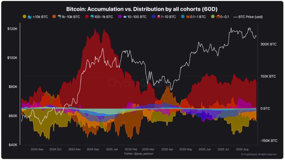 比特币（BTC）牛市会在111,000美元结束？本周需关注的BTC五大要点