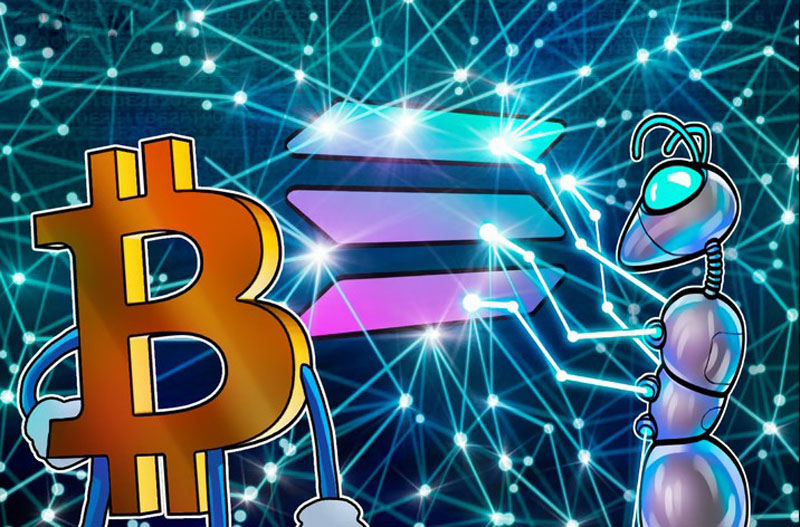 索拉纳（Solana）对比比特币（BTC）图表显示SOL价格可能突破至300美元