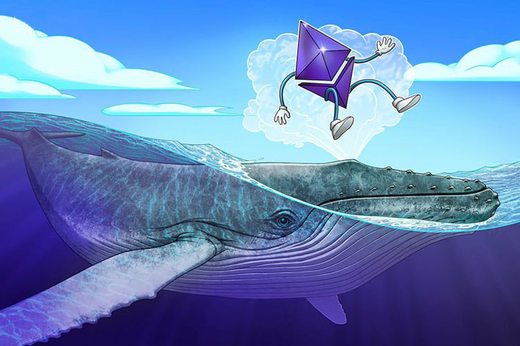 Santiment：以太坊（ETH）巨鲸自4月价格低点以来持仓量增加14%