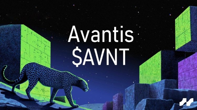 AVNT币全面介绍
