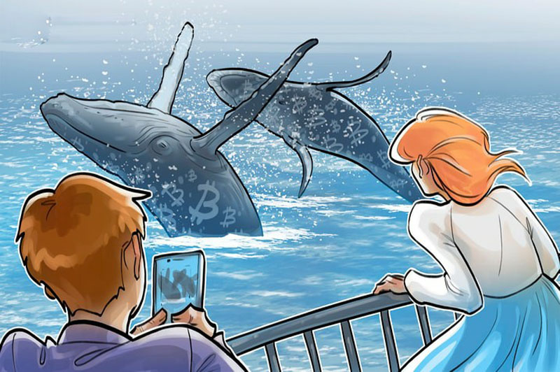 比特币巨鲸一个月抛售 14.7 万枚 BTC：下一站是 10 万美元吗？
