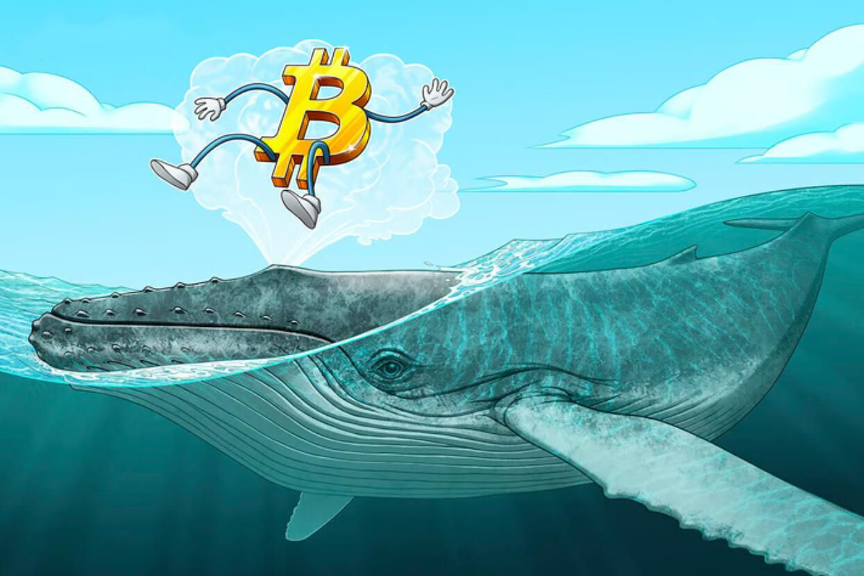 比特币巨鲸抛售11.5万枚BTC，创2022年中期以来最大抛售潮