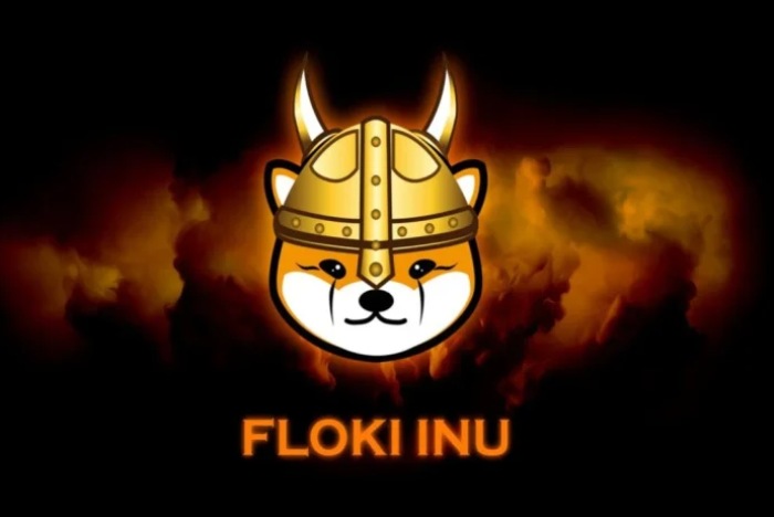 Floki Inu（FLOKI）