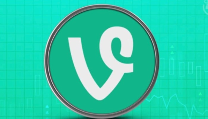 Vine Coin（VINE）