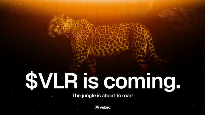 币安Alpha上线的Velora(VLR)币