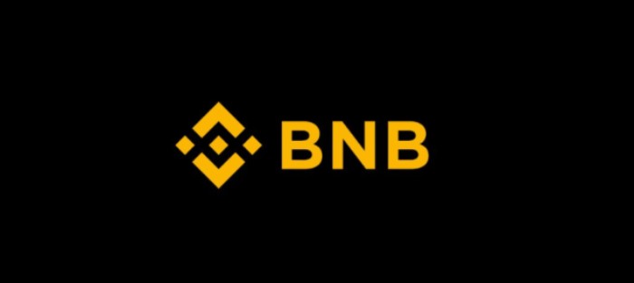 币安币(BNB)上涨原因分析