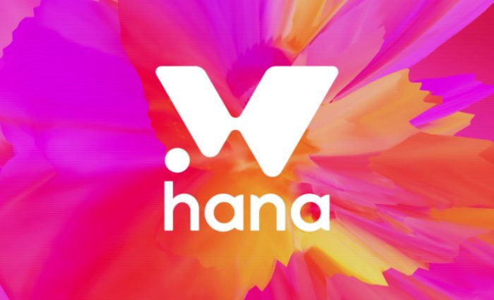 Hana Network(HANA)币全面介绍
