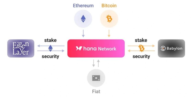Hana Network(HANA)币全面介绍