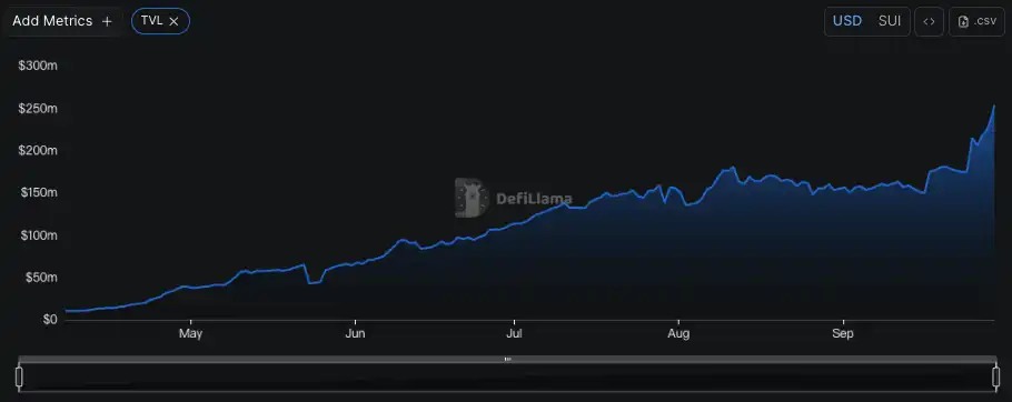 打新项目Momentum