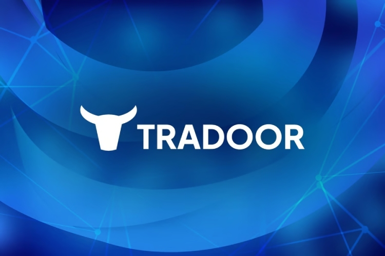 TRADOOR币全面介绍