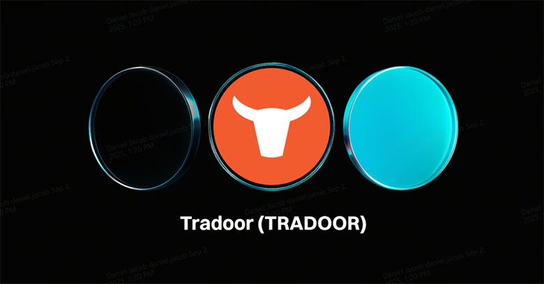 Tradoor（TRADOOR）币是什么？