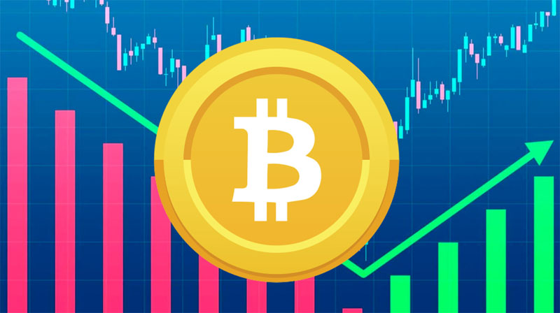 为何比特币昨天暴涨？大型鲸鱼投资者持续购BTC