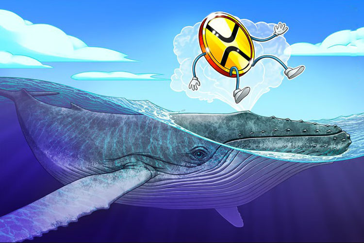 瑞波币（XRP）巨鲸每日抛售5000万美元：价格是否面临崩盘风险？