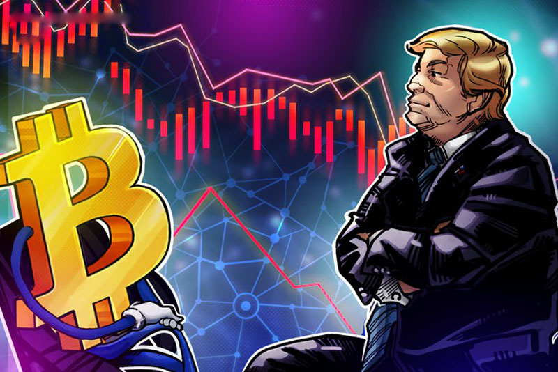 高管表示，受特朗普关税担忧影响，比特币（BTC）价格可能会出现“一些波动”