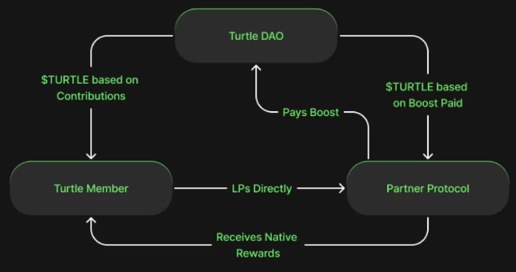 Turtle(TURLE)币全面介绍