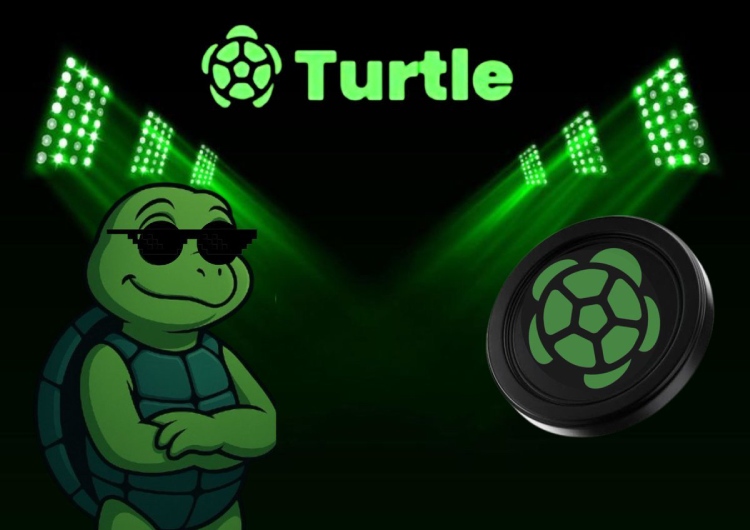 Turtle(TURLE)币全面介绍