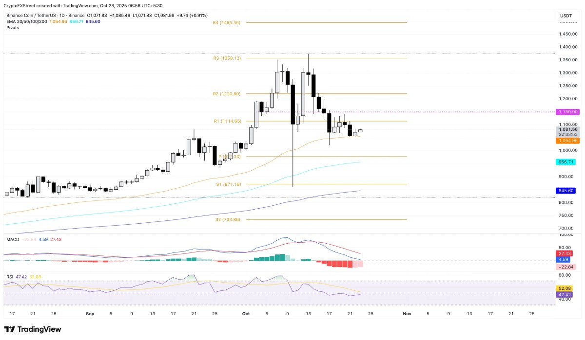 BNB/USDT 日线图