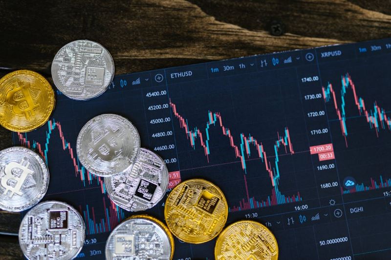 最热门的加密货币预售盘点