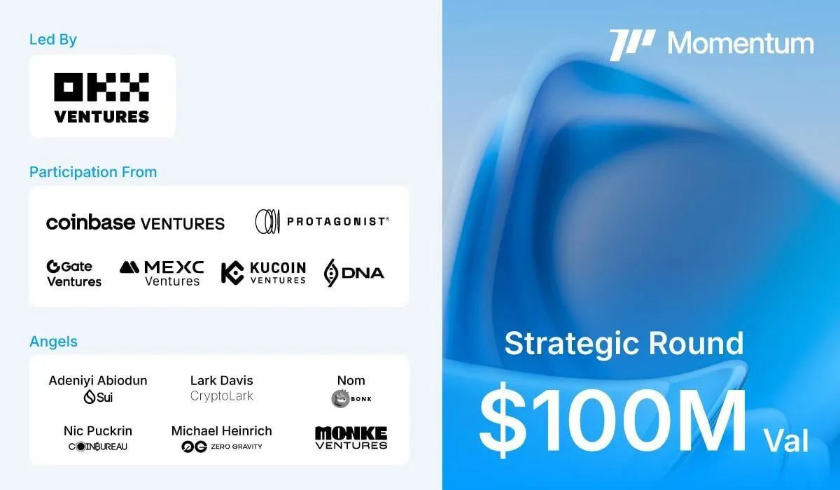 哪些风险投资机构支持动量理论（MMT）？