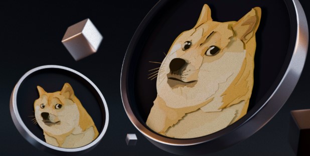 2025狗狗币值得投资吗？狗狗币风险与发展潜力