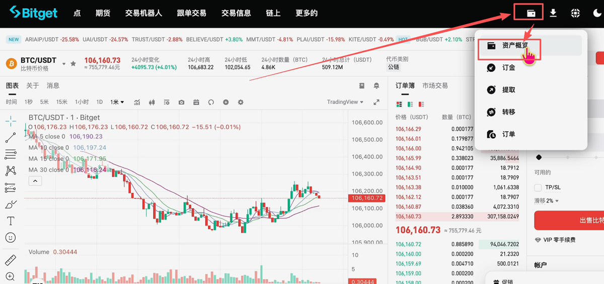 马来西亚如何购买USDT和比特币？怎么把比特币变现成马来西亚令吉？_图22