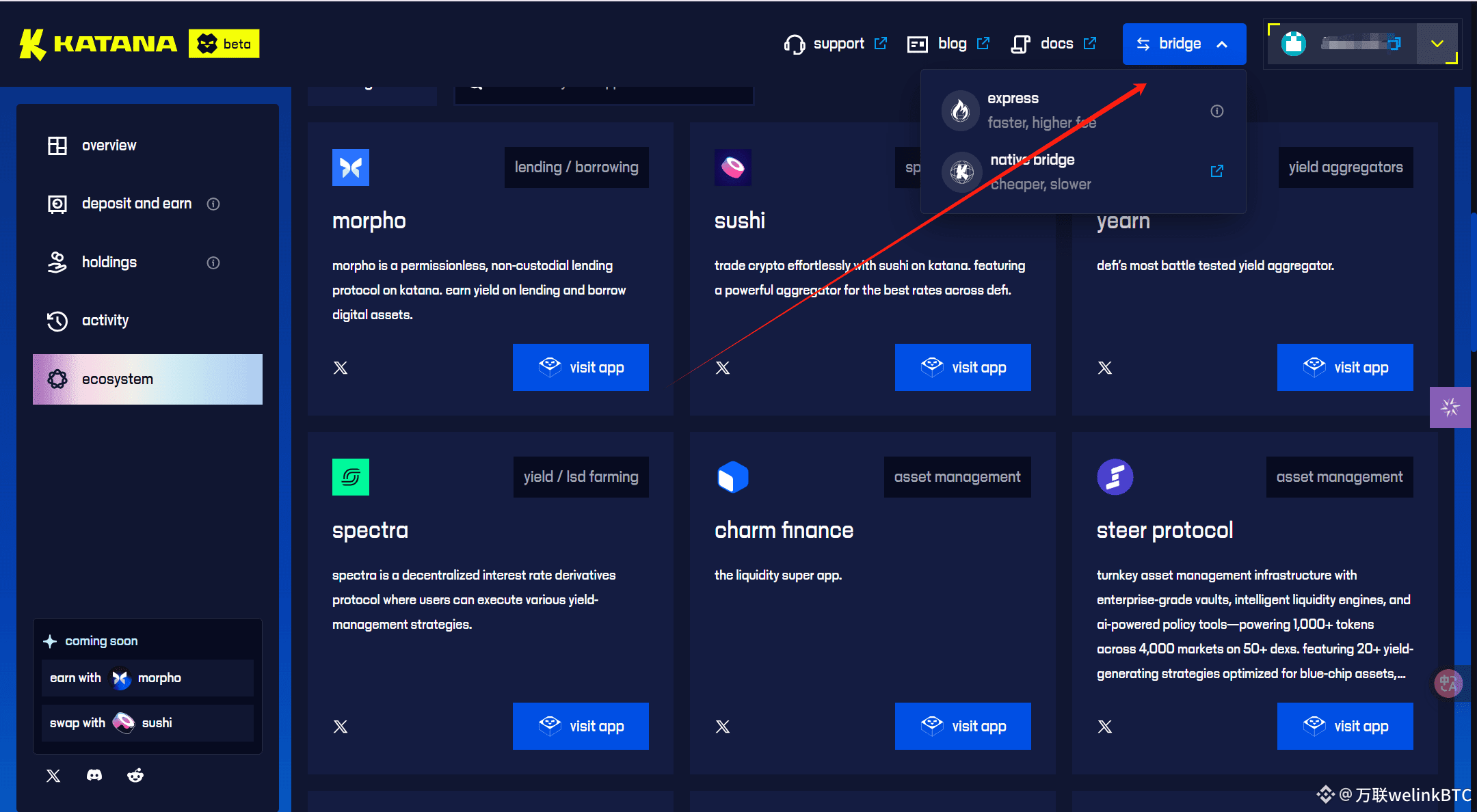 专为DeFi设计的公链Katana详细交互教程
