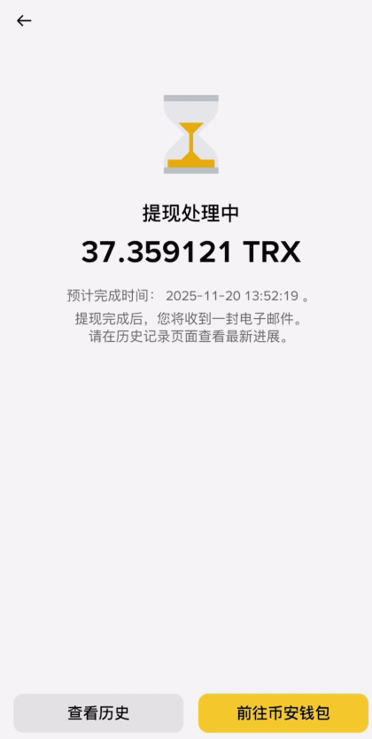 TRON-TRC20链上的USDT提到币安交易所操作教程_图13