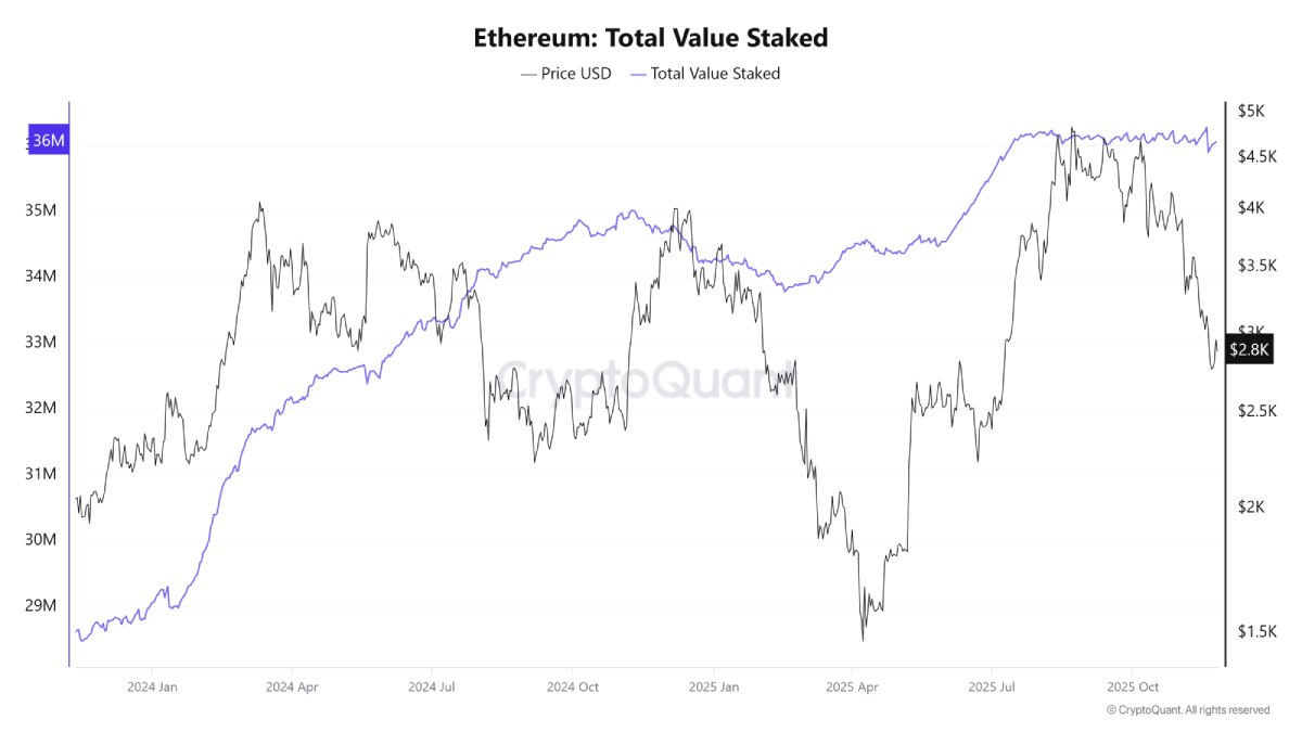 加密熊市信号分析