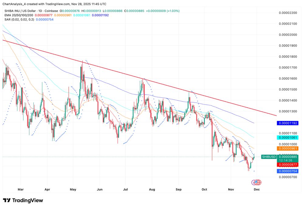 柴犬价格预测：卖方失去控制，柴犬价格保持支撑 2025.11.28