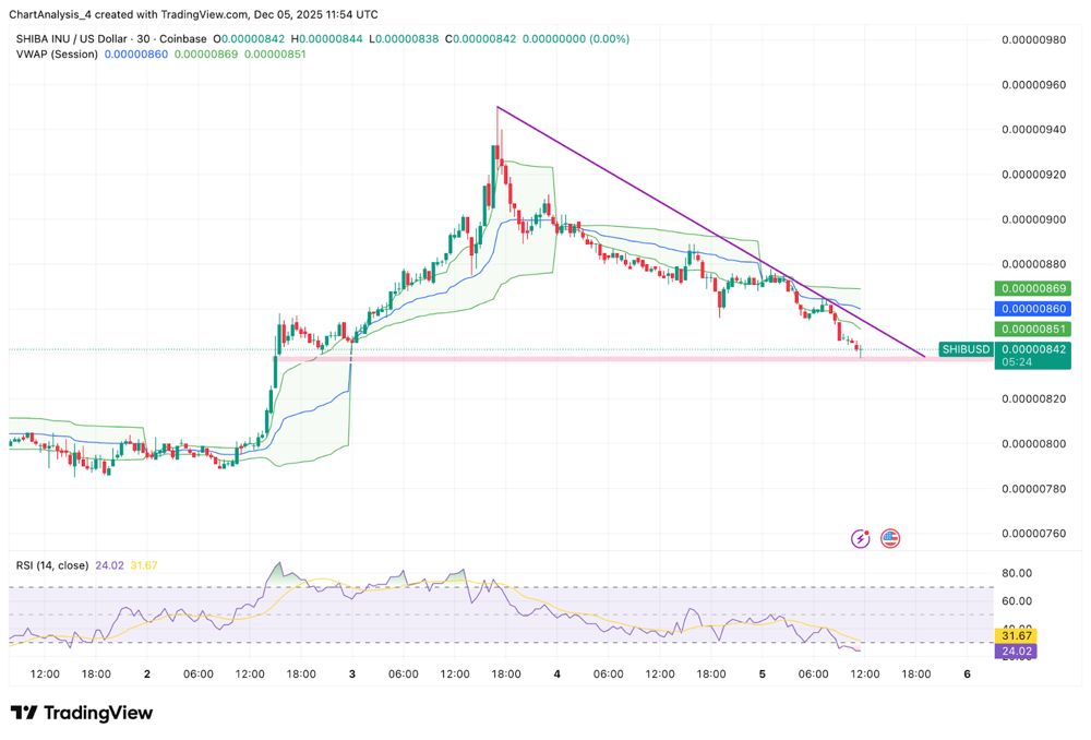 柴犬价格预测：负面资金流入是否会导致12月再次出现价格暴跌？2025.12.05_图3