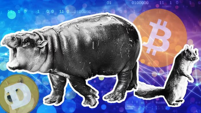 最佳Memecoin钱包盘点