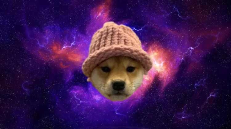 值得关注的Meme币