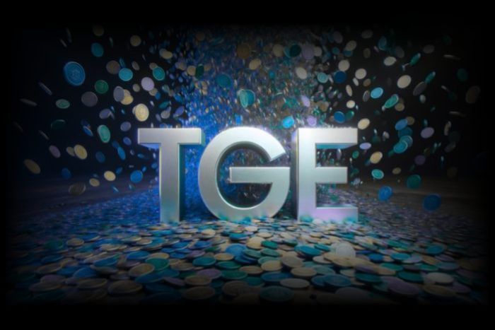 加密货币TGE年度总结