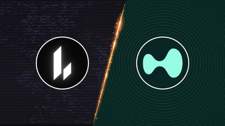 Lighter和Hyperliquid对比