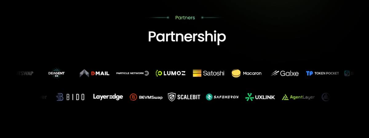 oooo(OOOO)币全面介绍