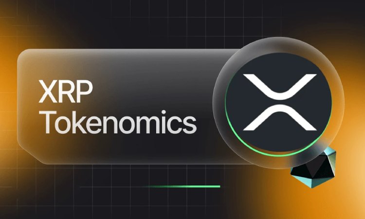 XRP代币经济学