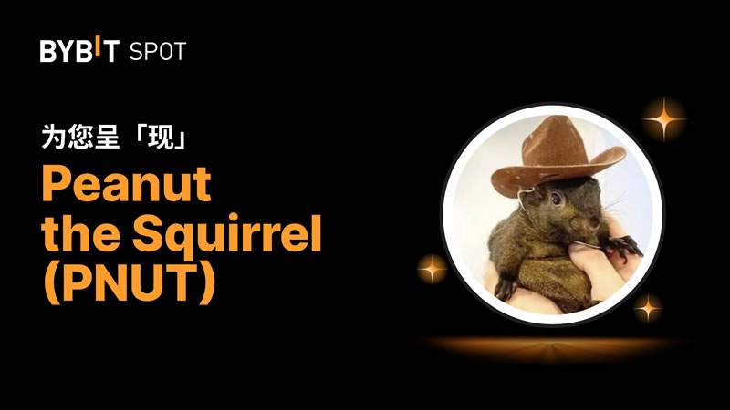 2025年12月值得关注的Pump.fun生态下的热门币种