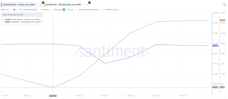 巨鲸购买币种盘点