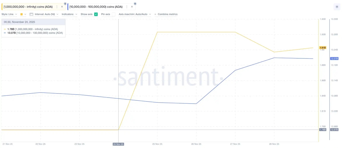 巨鲸购买币种盘点